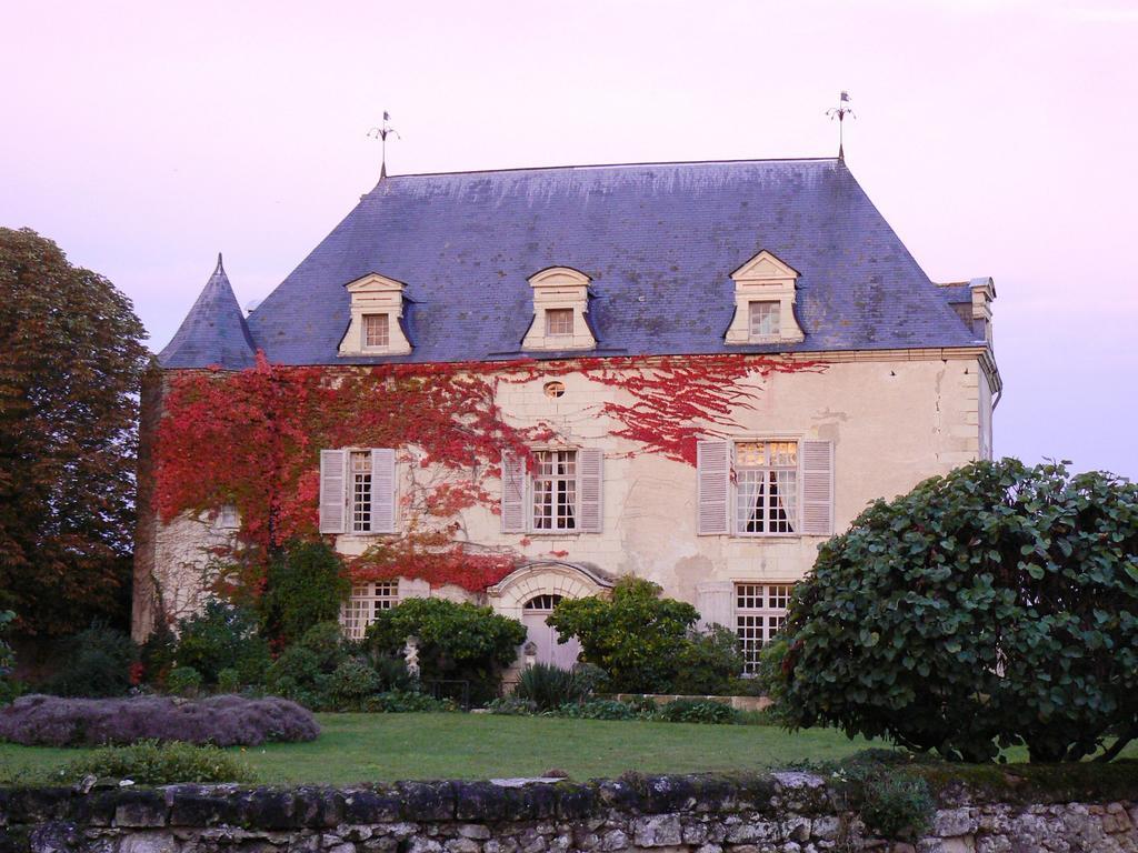Gite Chateau De Chaintres Dampierre-sur-Loire Room photo